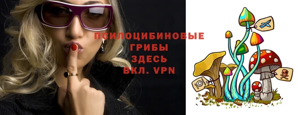 дмт Алексин