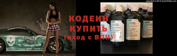 сатива Кулебаки