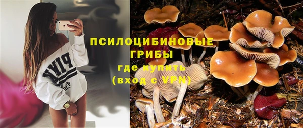 дмт Алексин